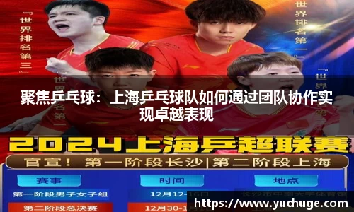 聚焦乒乓球：上海乒乓球队如何通过团队协作实现卓越表现